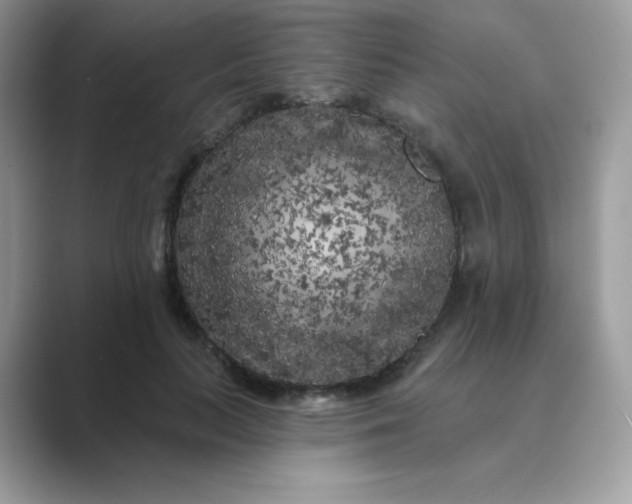 X0000089740647200707051758