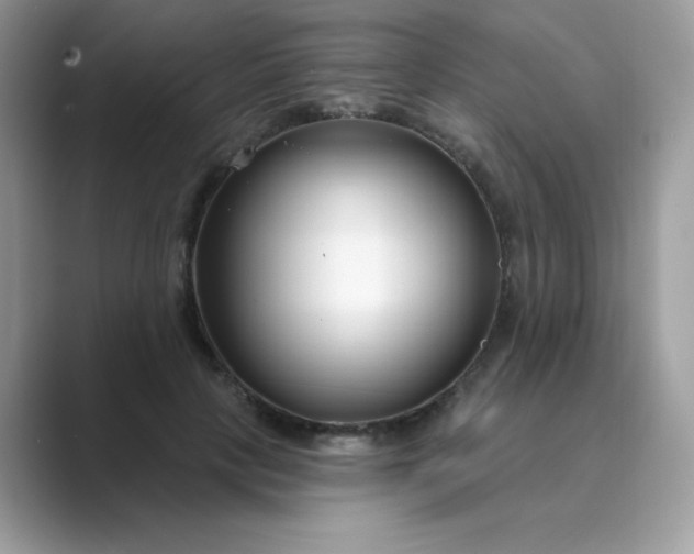 X0000089740649200707051758