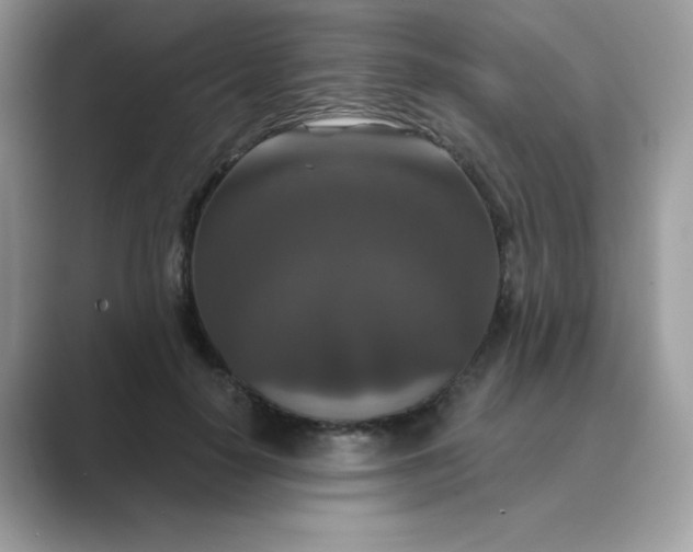 X0000089740650200707051758