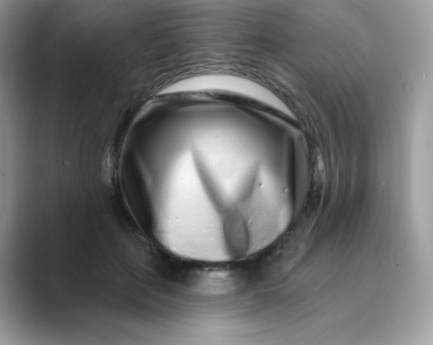 X0000089740651200707051758