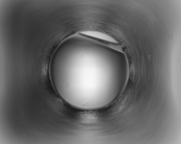 X0000089740652200707051758