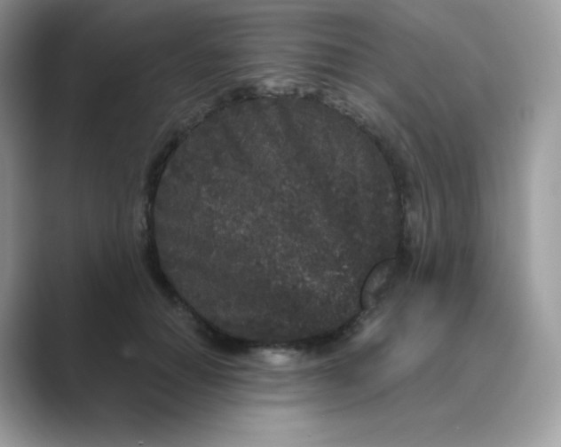 X0000089740654200707051758