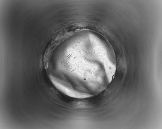 X0000089740655200707051758