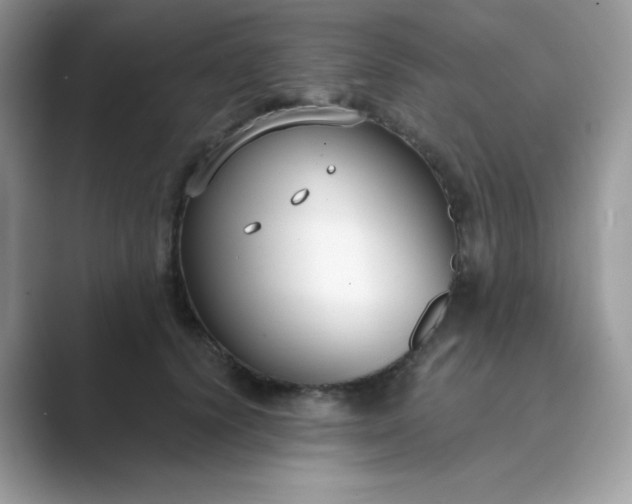 X0000089740656200707051758