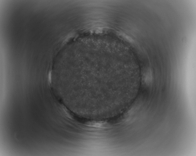 X0000089740661200707051758