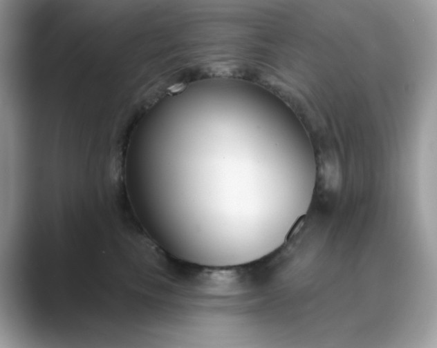 X0000089740665200707051758