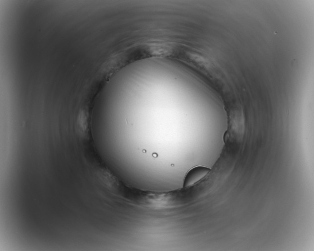 X0000089740667200707051758