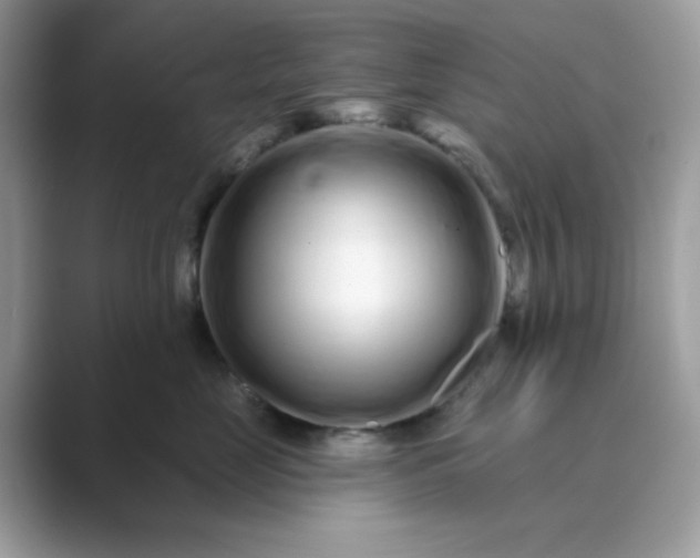 X0000089740669200707051758