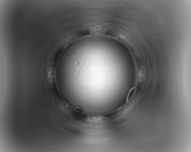 X0000089740671200707051758