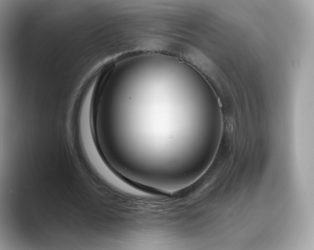 X0000089740676200707051757