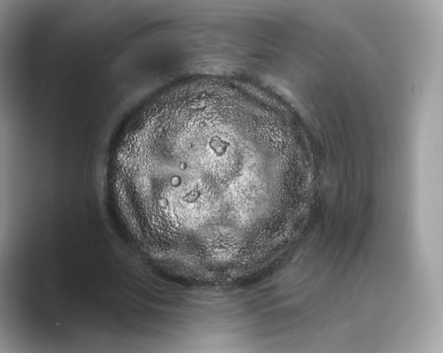 X0000089740679200707051757