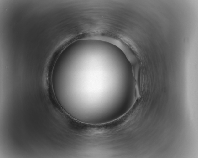 X0000089740680200707051757