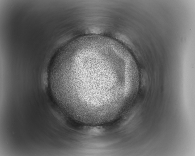 X0000089740683200707051757