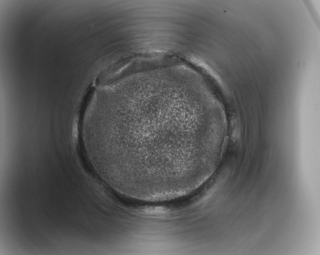 X0000089740685200707051757