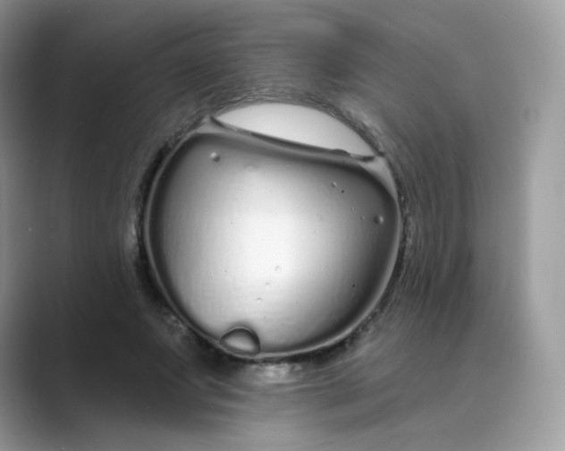 X0000089740687200707051757