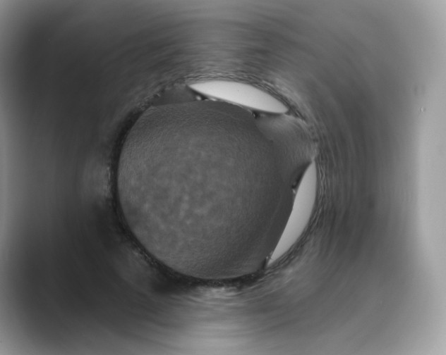 X0000089740689200707051757