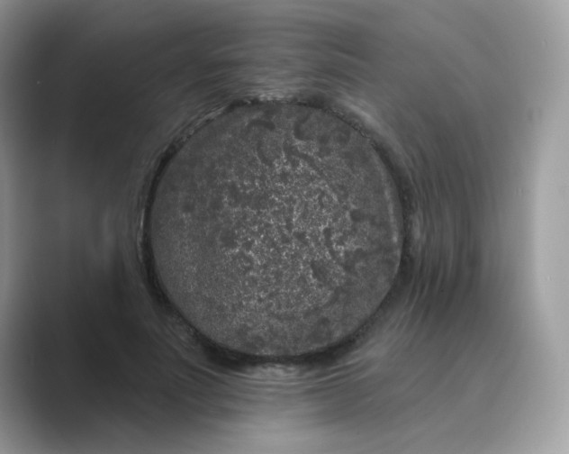 X0000089740691200707051757