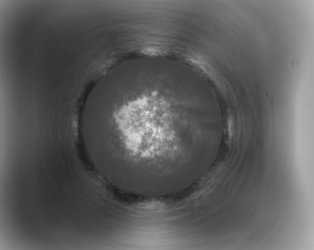 X0000089740696200707051757