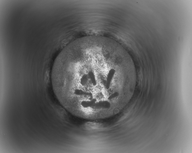 X0000089740699200707051757