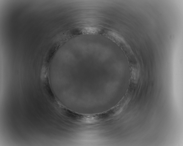 X0000089740701200707051757