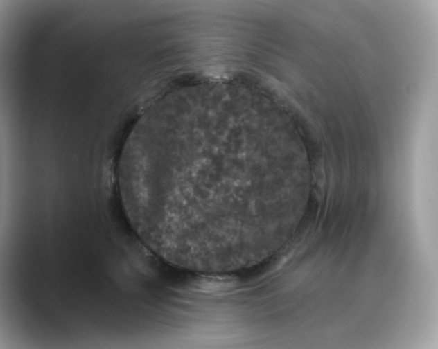 X0000089740707200707051757