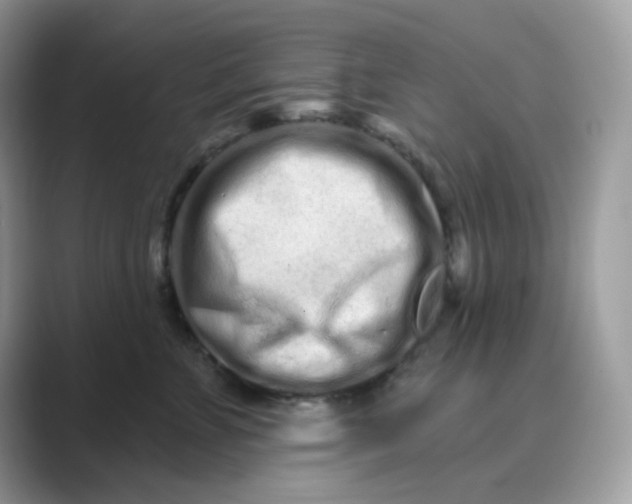 X0000089740715200707051757