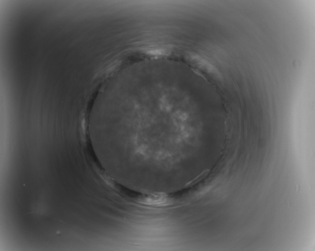 X0000089740720200707051757