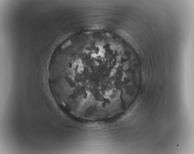 X0000089740721200707051756