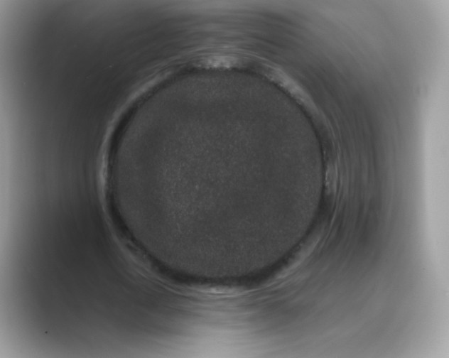 X0000089740722200707051756