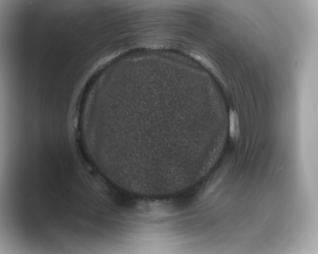 X0000089740723200707051756