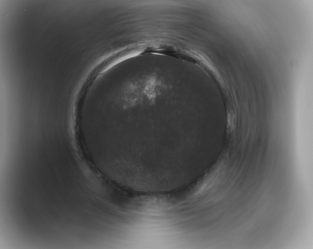 X0000089740724200707051756