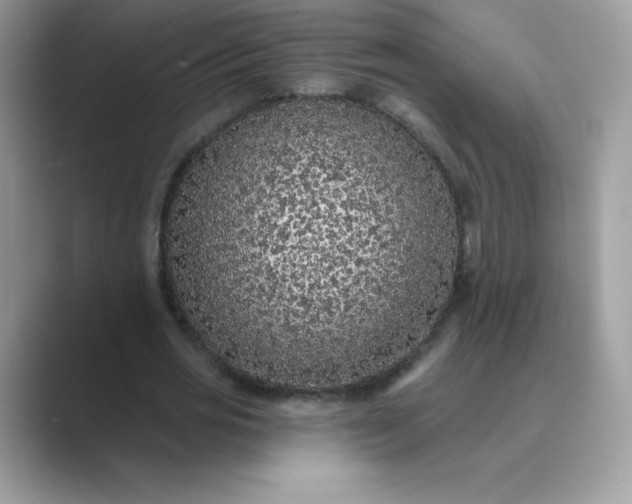 X0000089740725200707051756