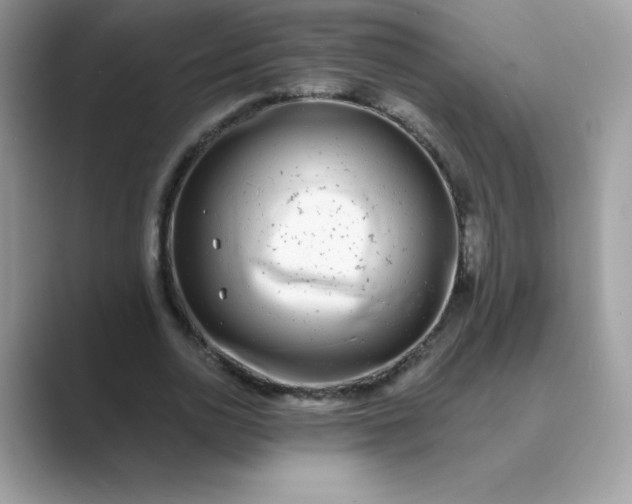 X0000089740726200707051756