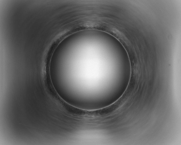 X0000089740727200707051756