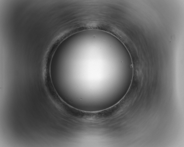 X0000089740728200707051756