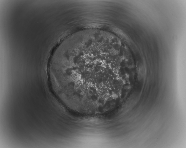 X0000089740729200707051756