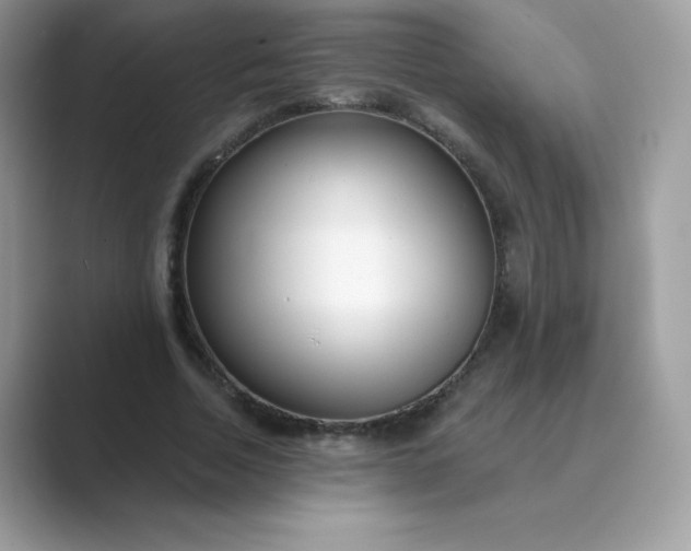 X0000089740730200707051756