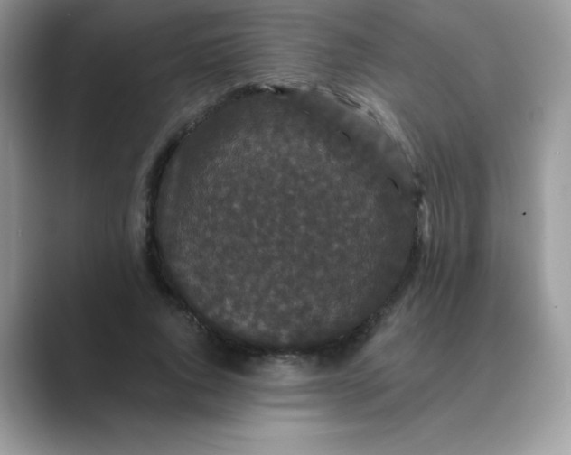 X0000089740736200707051756