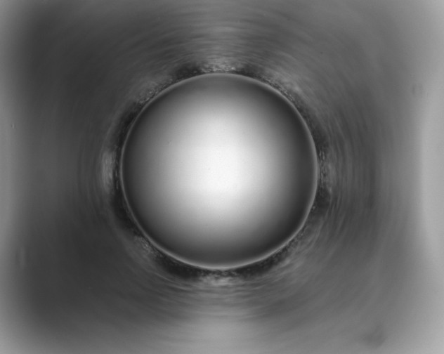 X0000089740742200707051756