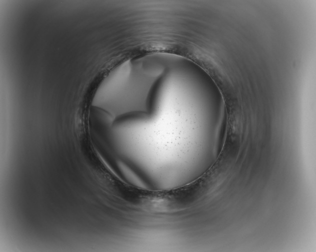 X0000089740743200707051756