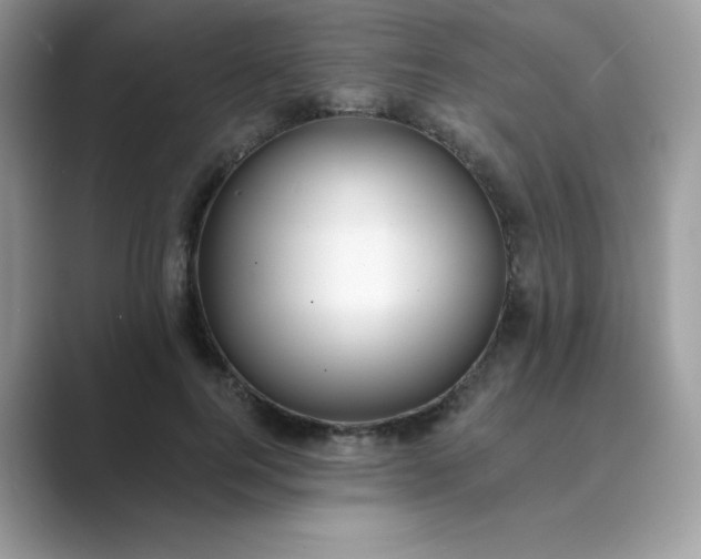 X0000089740744200707051756