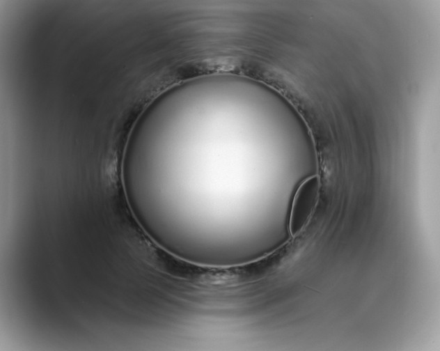 X0000089740745200707051756