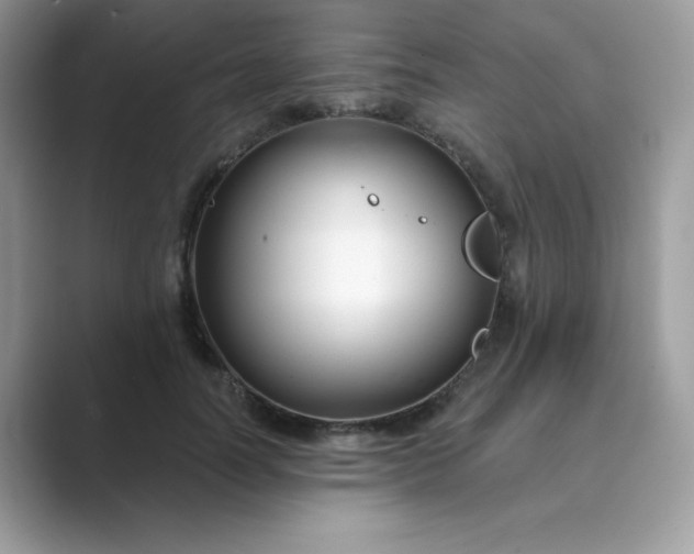 X0000089740746200707051756