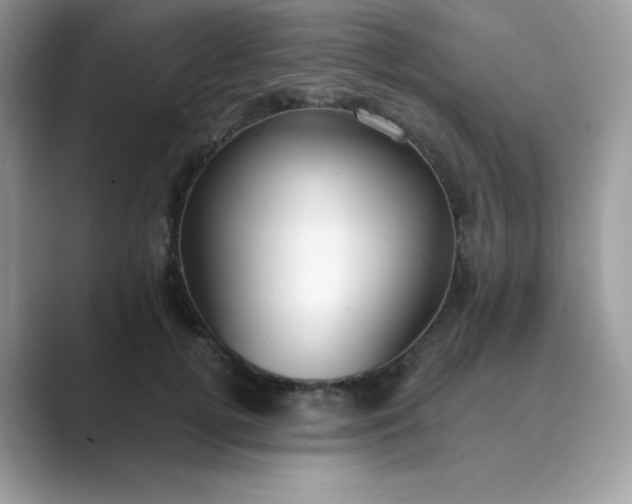 X0000089740752200707051757