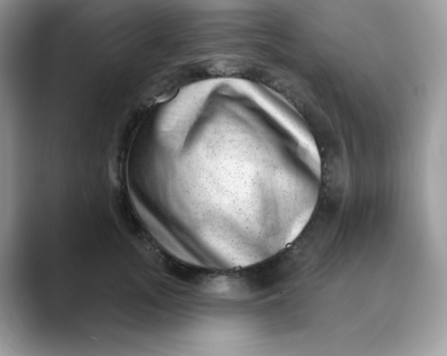 X0000089740755200707051757