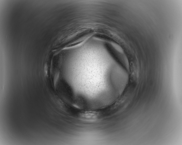 X0000089740758200707051757