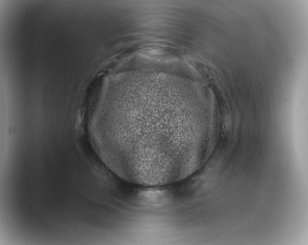 X0000089740759200707051757