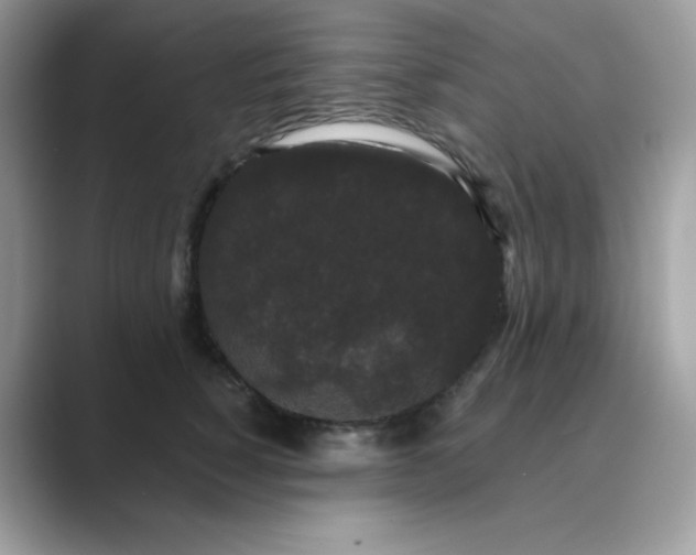 X0000089740760200707051757