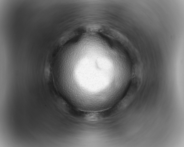 X0000089740761200707051757