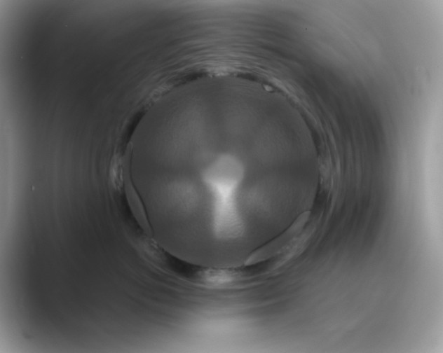 X0000089740766200707051757